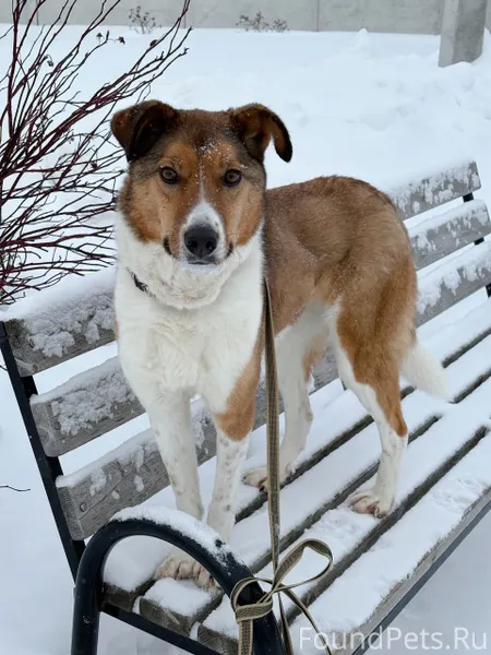 🆘 СРОЧНО ❗️❗️❗️ ПОМОГИТЕ НАЙТИ...