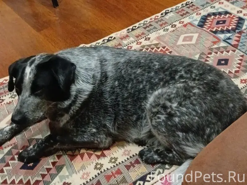 Друзья, знакомые из Ульяновска...