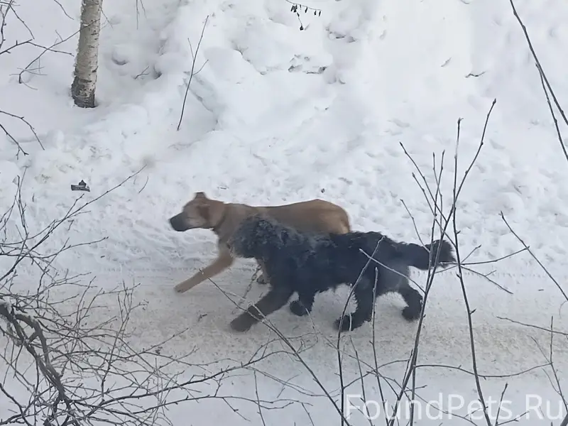 В районе ул.Пионеров-Октября з...