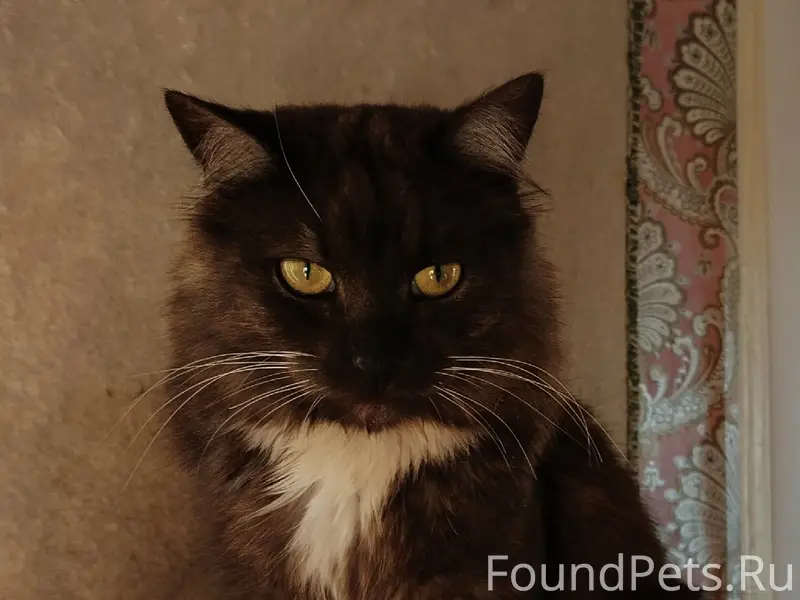 Фотеиха! Улицы Авиационная и б...