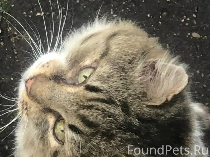 Товарищи, всем здравствуйте. У...