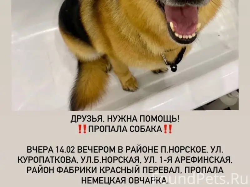 ДРУЗЬЯ! Помощь в репосте! Сего...