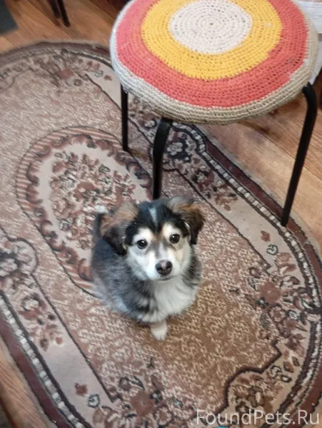 На трассе в районе ст Саратовс...