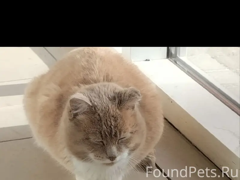 🆘 🆘 🆘 На территории рынка...