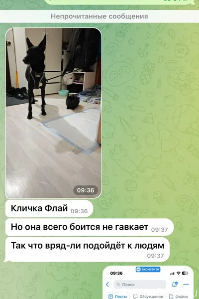 Доброе утро, вчера вечером убе...