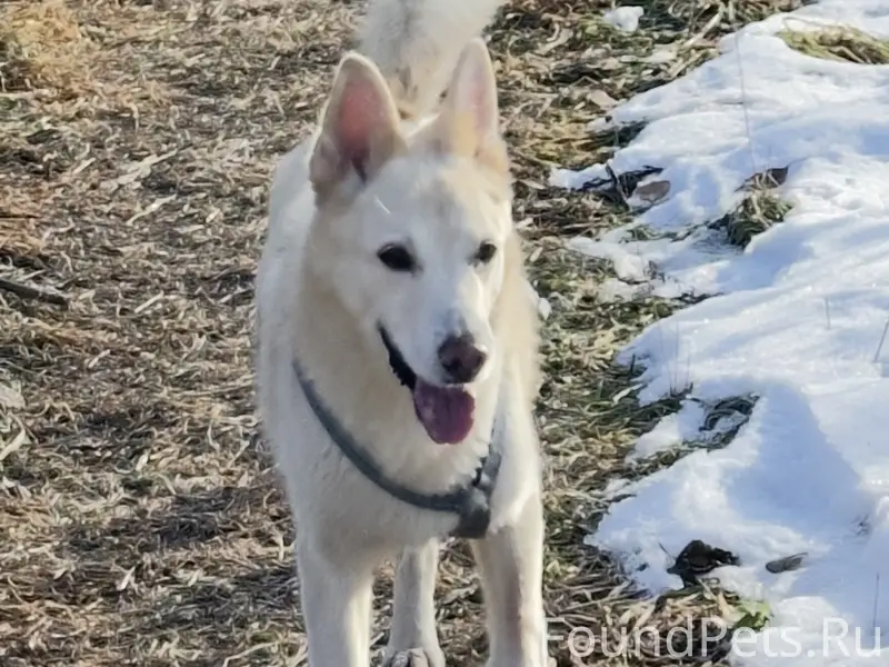 ВНИМАНИЕ‼️‼️‼️ РЕПОСТ ПОЖАЛУЙС...