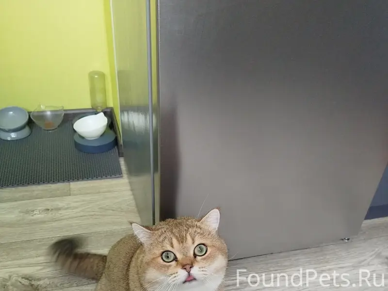 На О. Зеленый в районе пятероч...