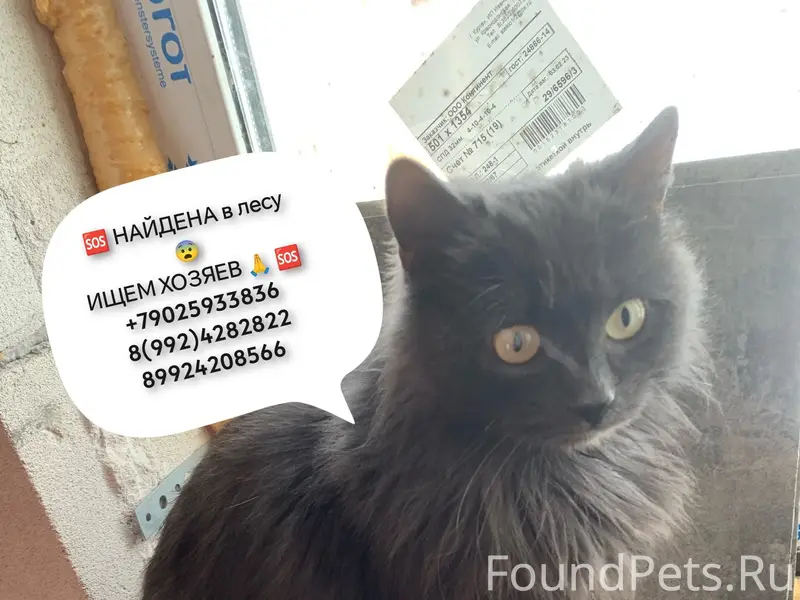 🆘 СРОЧНО🆘 РЕПОСТ 🙏 🙏 🙏...