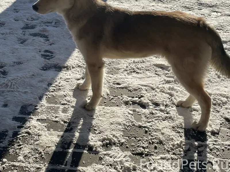 Срочно!СОС✋️🛑🛑🛑Только что у Сп...