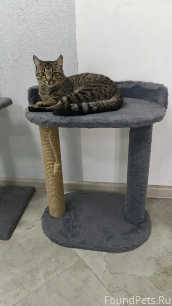 Добрый день всем! 5 февраля у....