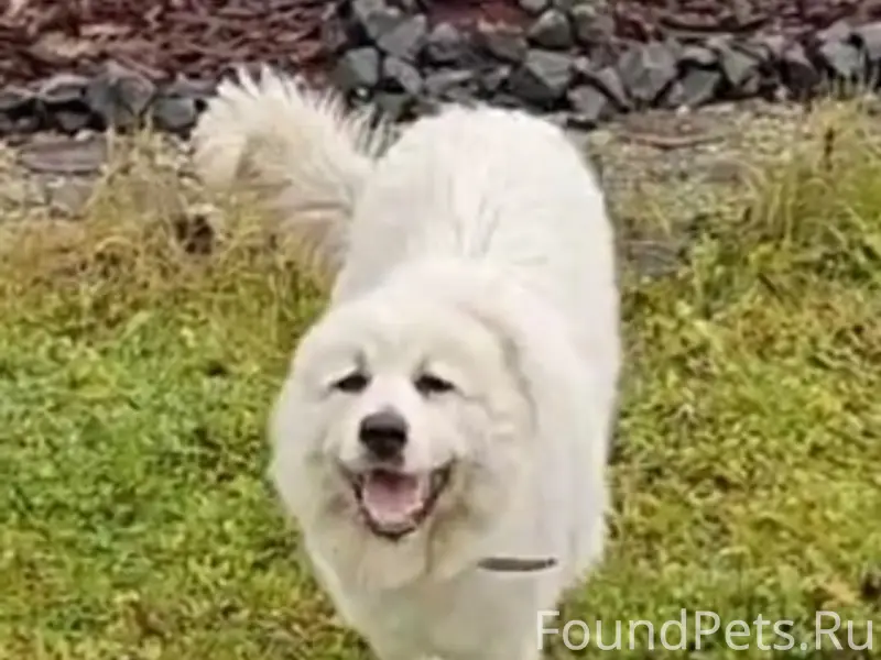 Здравствуйте! Пропустите, пожа...