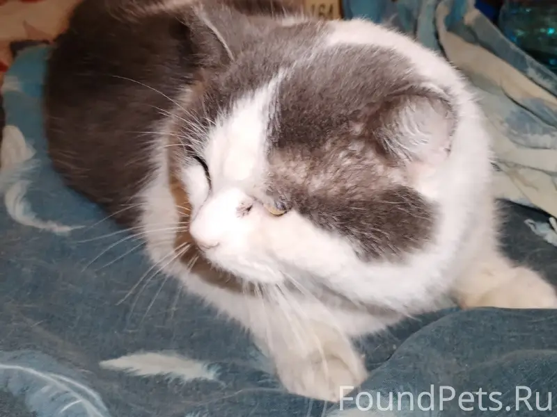 13 февраля на Руднике был найд...