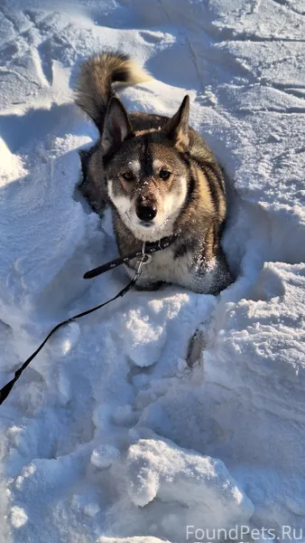 Утром 15.02 по алюминиевой 12....