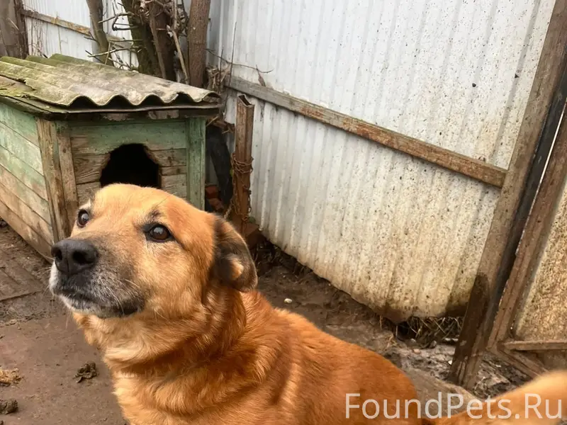 Орехово-Зуево. В ночь на пятни...