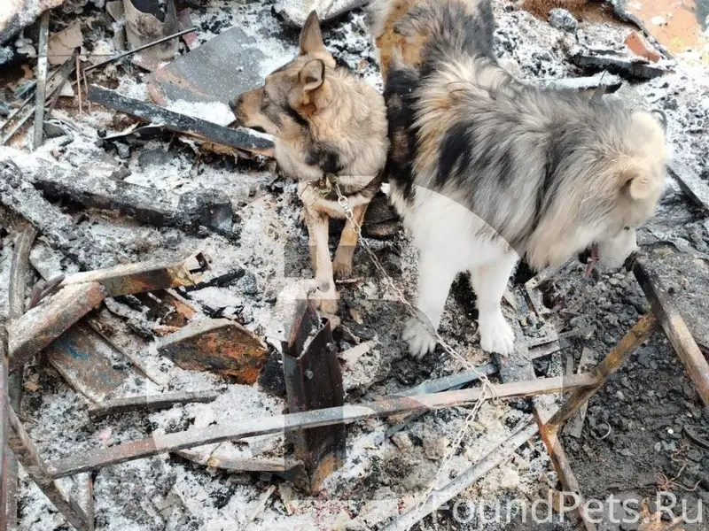 На месте взрыва: найдены две с...
