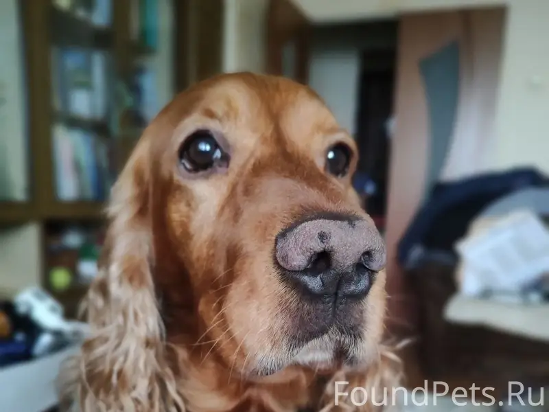 Всем доброго дня! Сегодня на М...