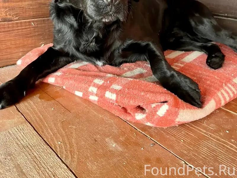 Друзья, нужна ваша помощь! Вче...