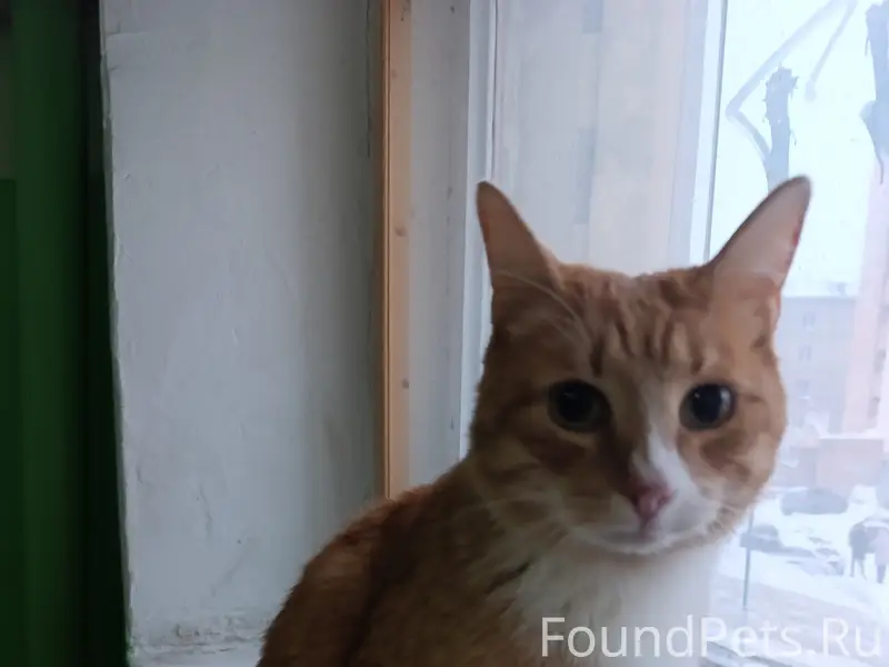 В нашем 1-ом подъезде на...