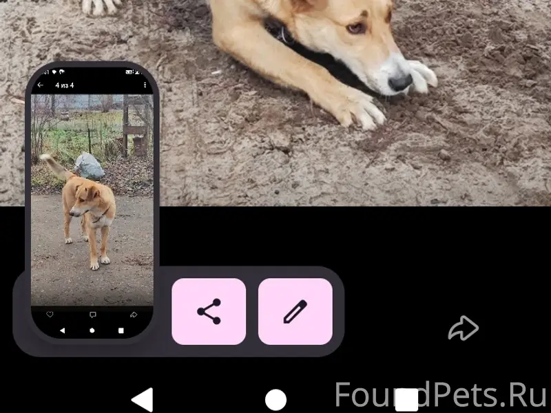 Здравствуйте В районе станции ...