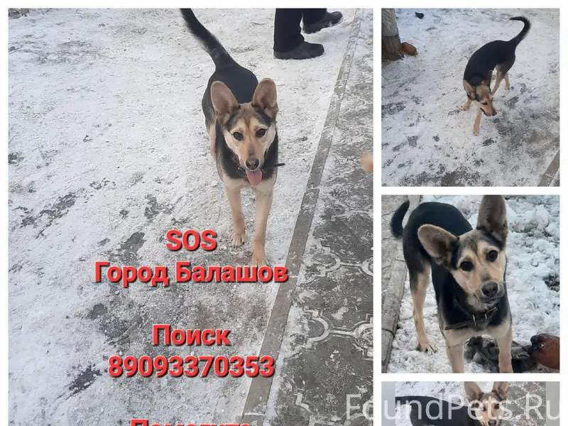 16.02.25г. в районе Захоперье....