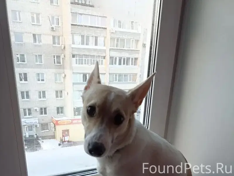 Сегодня 16 февраля, рано утром...