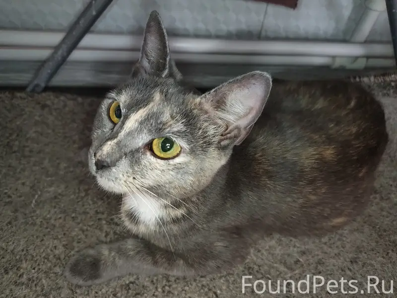 Нашли вчера поздним вечером ко...