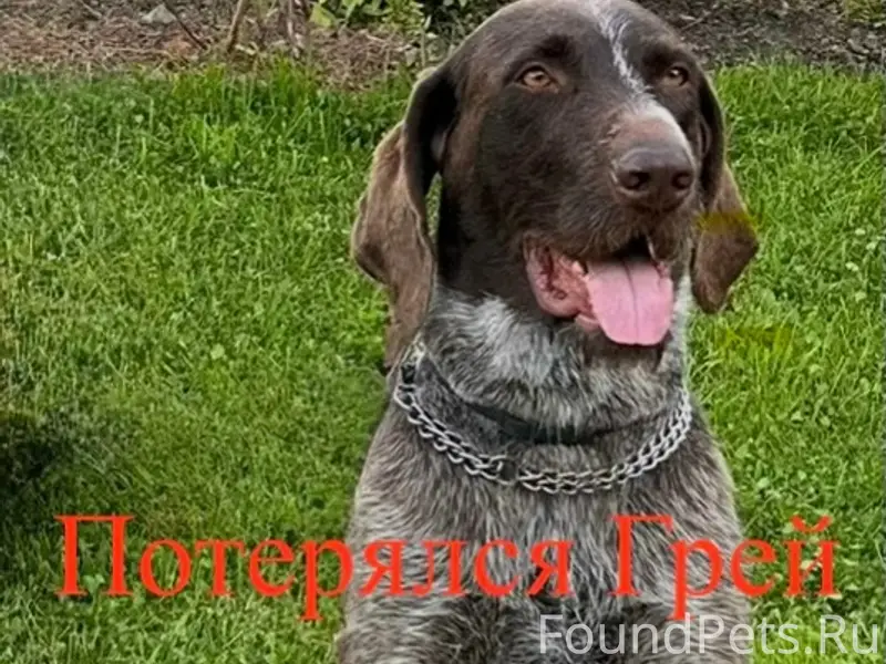 15.02.2026г. из дома в...