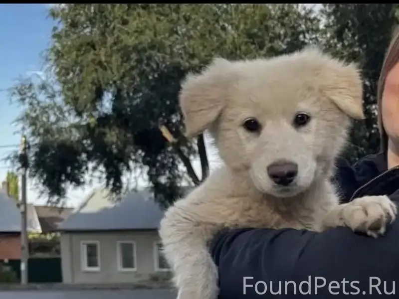 15 февраля с переулка Тоцкого ...