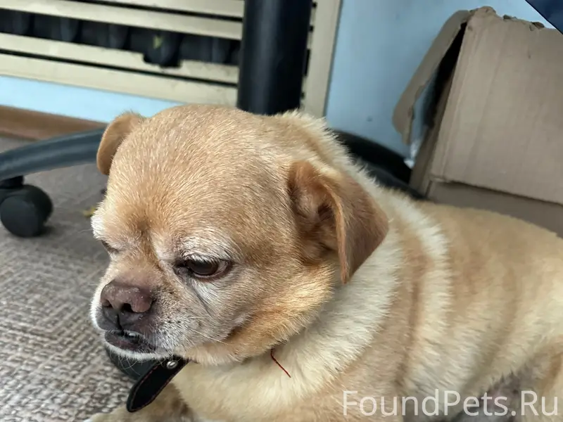 Пожалуйста репосты. Не куда де...