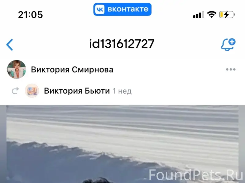 Дорогие мои друзья ! Очень про...