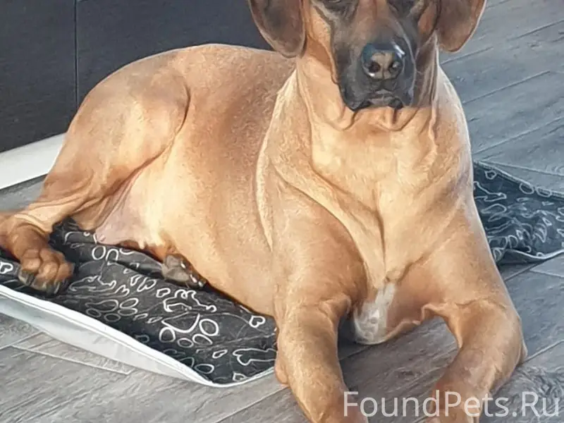 Помогите, пожалуйста, найти со...