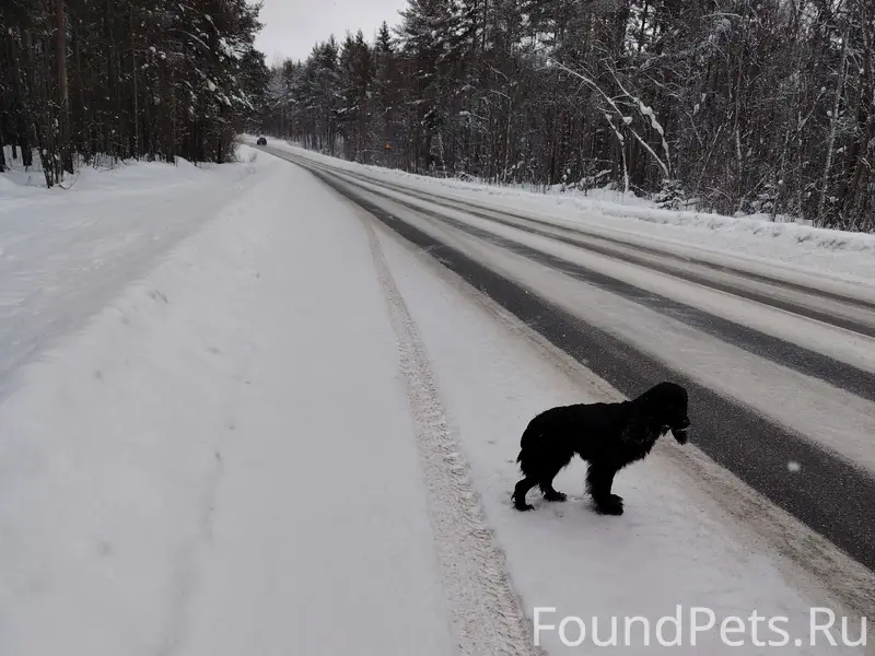 На трассе в сторону в сторону....