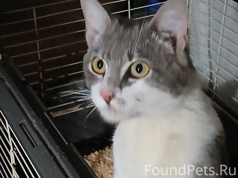 15 февраля на ул.Вагоностроите...