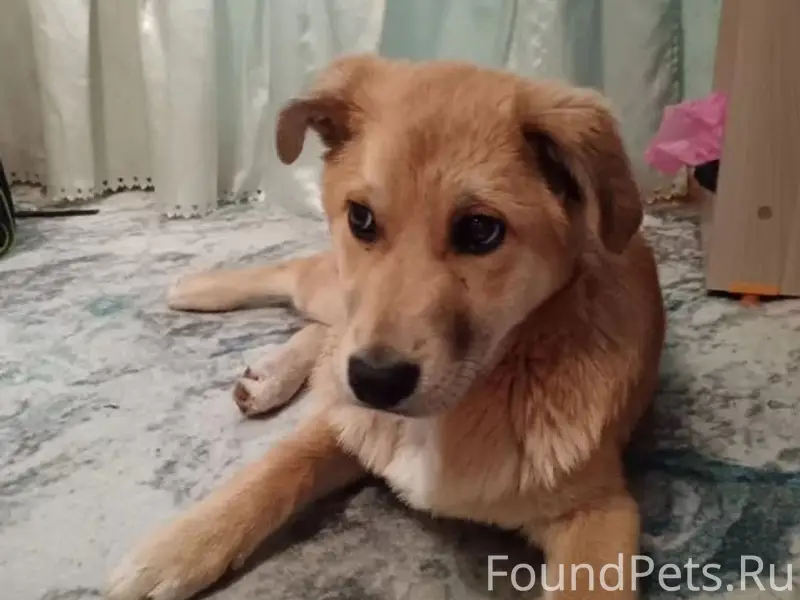 15.02.26. Краснооктябрьский ра...