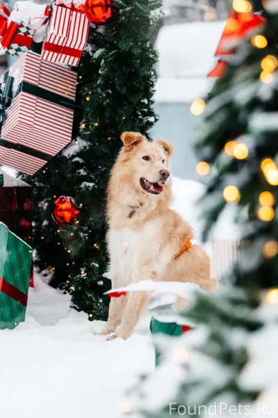 Москва и МО 🌍 АРИС ✨...