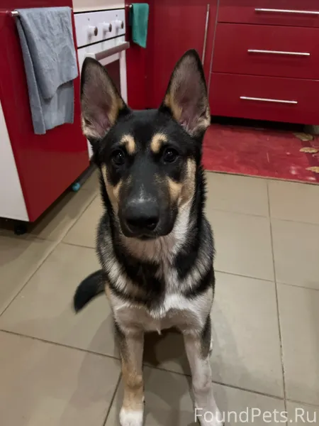 14.02 во второй половине дня.....