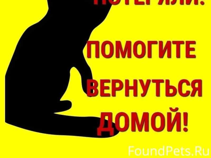 Пожалуйста репост. 15.02.2026г...