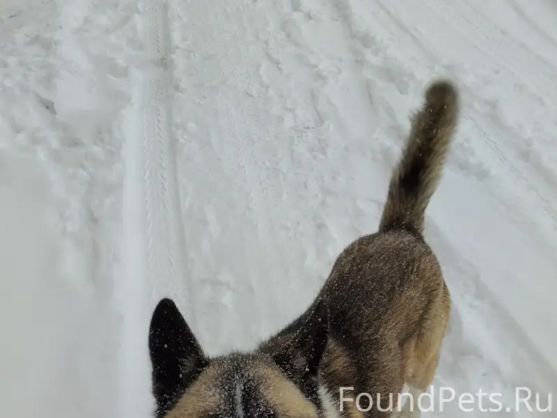 Здравствуйте Заберите эту соба...