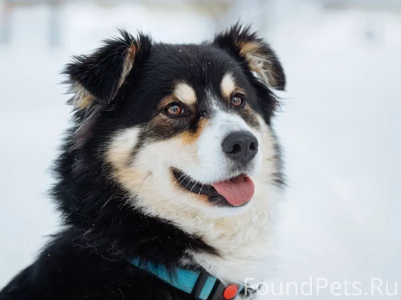 Адара (Ада)⭐️— маленькая звезд...