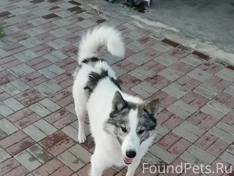 Вчера выставляли пост здесь пр...