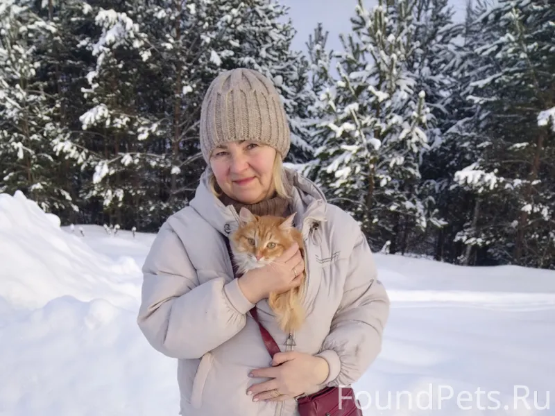 Всем доброго времени суток!!! ...