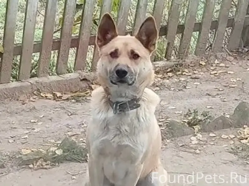 12.02 в д.Боброво Зубцовского....