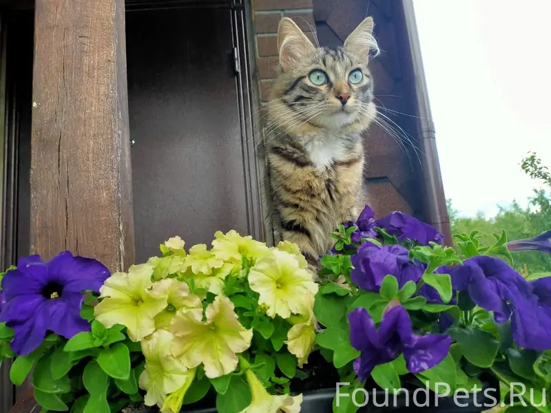 На ул.Первомайской, в Красных ...