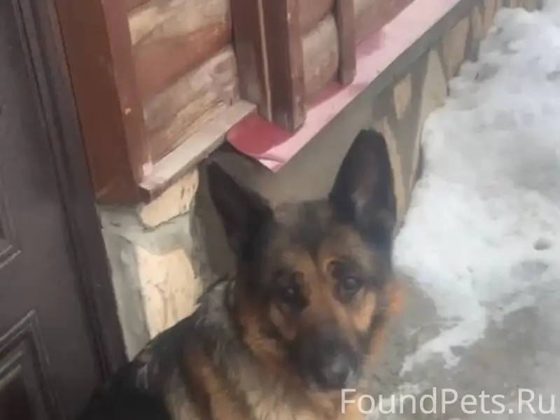 Г.Энгельс С набережной прибила...