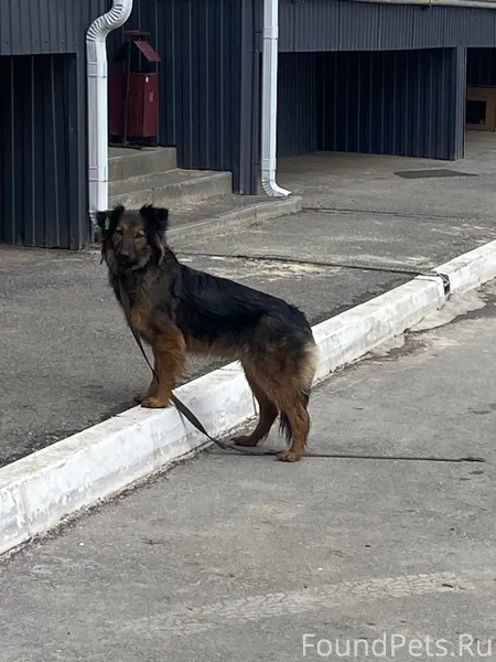 Добрый день В районе поля чуде...