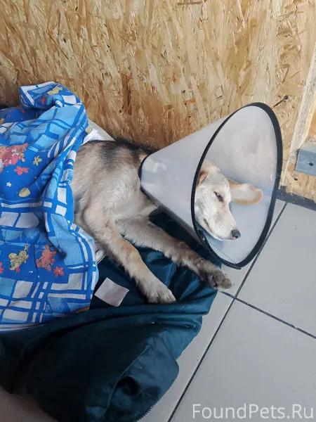 Vk.com/wall-4819465_957488 Дру...