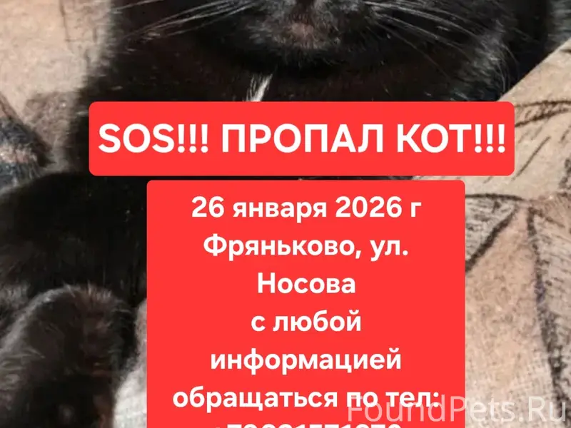 Помогаю информационно! ПРОПАЛ ...