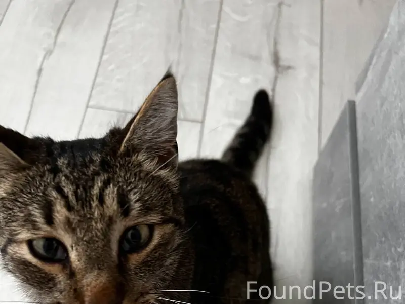 Прошу,максимальный репост!! пр...