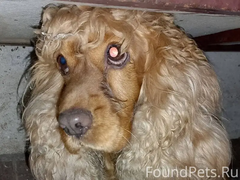 14.02.2026 года Ставропольский...