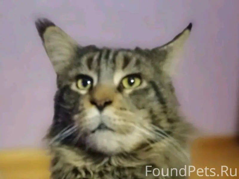 Г.Лида! Срочно!!!!! Помогите, ...